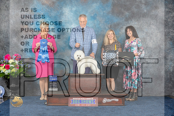 Bichon Frise #15 Fri G1 Judge Cheryl PattersonMJP_4546_HOUSTON_2023_HR3