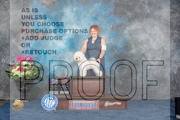 Bichon Frise #19 Fri WD OHBOB MAJ Judge Elizabeth MuthardMJP_3827_HOUSTON_2023_HR3