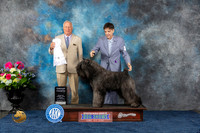 Bouvier des Flandres #5 Fri G4 Judge Eric Liebes