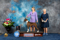 Boxer #42 Fri WB BOS MAJ Judge Patricia Trotter