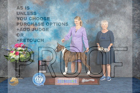 Boxer #42 Fri WB BOS MAJ Judge Patricia TrotterMJP_3678_HOUSTON_2023_HR3