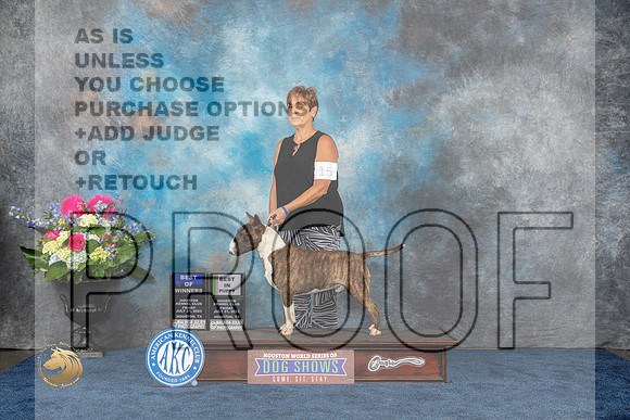 Bull Terrier Colored #15 Fri WD BOW BP Judge Tony IngramMJP_3700_HOUSTON_2023_HR3