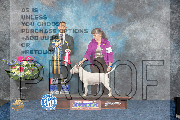 White Bull Terrier#30 Fri BOSV Judge Tony IngramMJP_3955_HOUSTON_2023_HR3