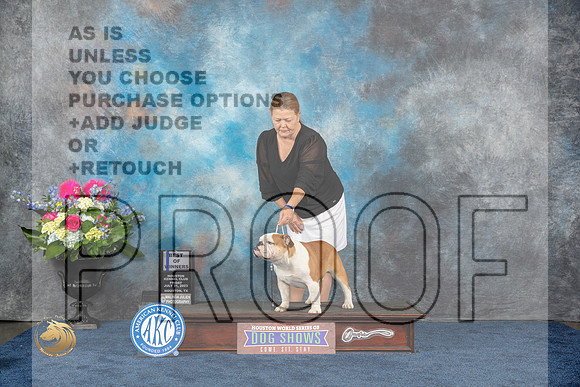Bulldog #28 Fri BOW Judge Charles OlvisMJP_4117_HOUSTON_2023_HR3