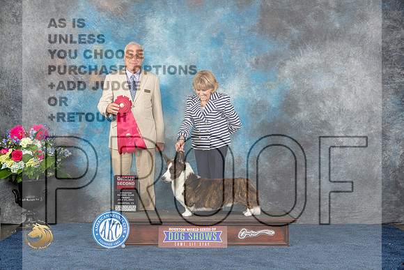 Cardigan Welsh Corgi #11  Fri G2 Judge Eric LiebesMJP_4677_HOUSTON_2023_HR3