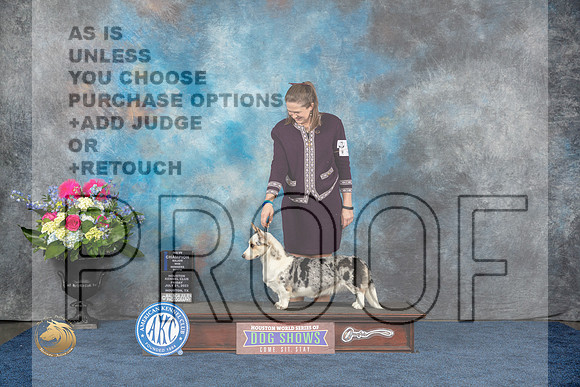 Cardigan Welsh Corgi #30 Fri WB NC MAJ Judge Joan LiebesMJP_4151_HOUSTON_2023_HR3