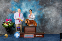 Cavalier King Charles Spaniel #7 Fri BOB BOBOH Judge Raymond Filburn Jr