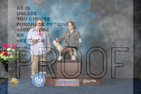 Chinese Crested #10 Fri G4 Judge Ray Filburn JrMJP_4731_HOUSTON_2023_HR3