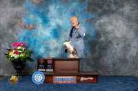 Chinese Crested #5 Fri BOS BOBOH Judge Raymond Filburn Jr