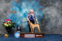Chinese Shar Pei #11 Fri WD Judge Elizabeth Muthard