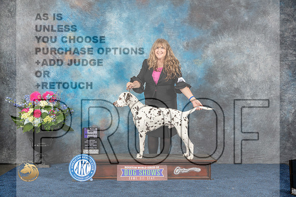Dalmatian #15 Fri WD MAJ Judge Elizabeth MuthardMJP_4006_HOUSTON_2023_HR3