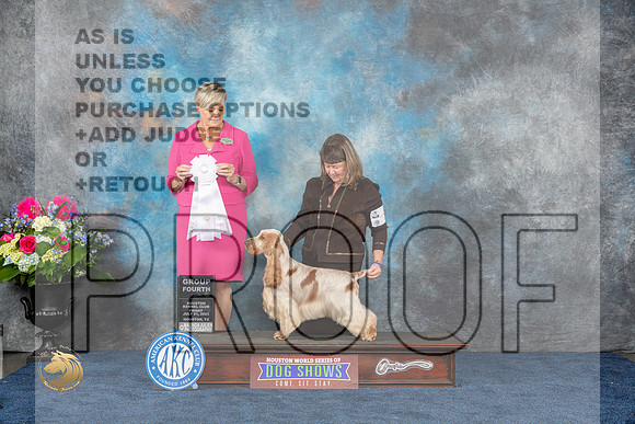 English Cocker #5 Fri G4 Judge Cheryl PattersonMJP_4757_HOUSTON_2023_HR3