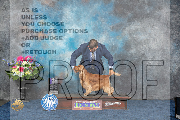 English Cocker Spaniel #25 Fri WD MAJ Judge Del RichardsMJP_3868_HOUSTON_2023_HR3