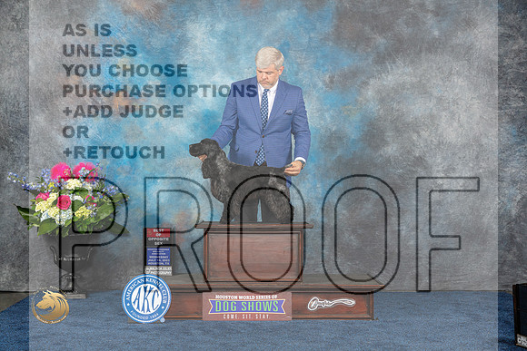 English Cocker Spaniel #29 Wed BOS Judge Cindy LaneMJP_3814_HOUSTON_2023_HR3