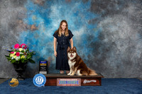 Finnish Lapphund #5 Fri BOB Judge Joan Liebes