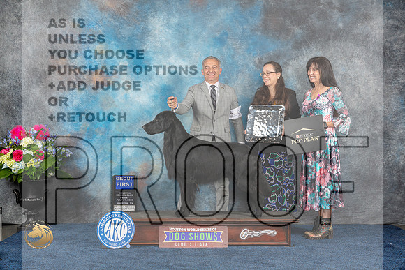 Flat Coated Retriever #9 Fri G1 Judge Cheryl PattersonMJP_4781_HOUSTON_2023_HR3