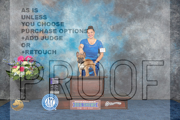 French Bulldog #19 Fri WD Judge Charles OlvisMJP_3775_HOUSTON_2023_HR3