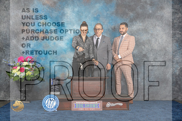 French Bulldog #32 Fri WB BOW MAJ NC Judge Charles OlvisMJP_3728_HOUSTON_2023_HR3