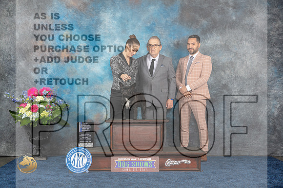 French Bulldog #32 Fri WB BOW MAJ NC Judge Charles OlvisMJP_3739_HOUSTON_2023_HR3