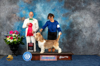 GBGV #5 Fri G1 Judge Ken Levison