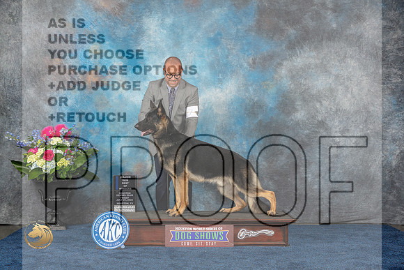 German Shepherd Dog #11 Fri WD BOW MAJ Judge Eric LiebesMJP_3526_HOUSTON_2023_HR3