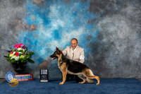 German Shepherd Dog #30 Fri SB NGC Judge Eric Liebes