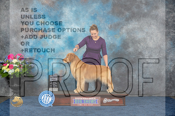 Golden Retriever #11 Fri SD Judge Joan LiebesMJP_4282_HOUSTON_2023_HR3
