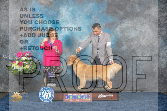 Golden Retriever #6 Fri WB MAJ Judge Joan LiebesMJP_4231_HOUSTON_2023_HR3
