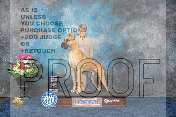 Great Dane #21 Fri WD Judge Patricia TrotterMJP_4129_HOUSTON_2023_HR3