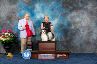Havanese #5 Fri G2 Judge Ray Filburn Jr