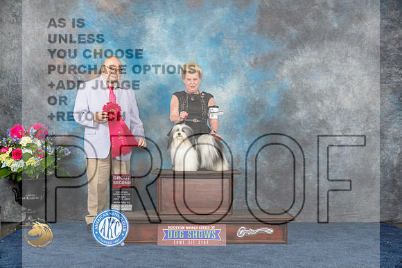 Havanese #5 Fri G2 Judge Ray Filburn JrMJP_4719_HOUSTON_2023_HR3