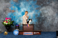 Japanese Chin #5 Fri BOB OH Judge Lydia Hutchinson