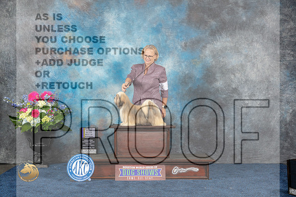 Lhasa Apso #16 Fri BOB BOW WB MAJ Judge Elizabeth MuthardMJP_3994_HOUSTON_2023_HR3