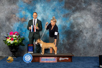 Miniature #5 Fri BOW BOS NC Judge Tony Ingram