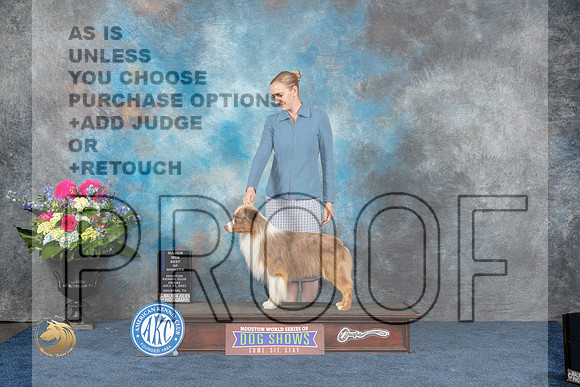 Miniature American Shepherd #23 Fri WD BOW MAJ Judge Joan LiebesMJP_4001_HOUSTON_2023_HR3