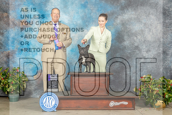 French Bulldog #44 Sun WBM Judge Jay RichardsonMJP_9948e_SA2023_HR3