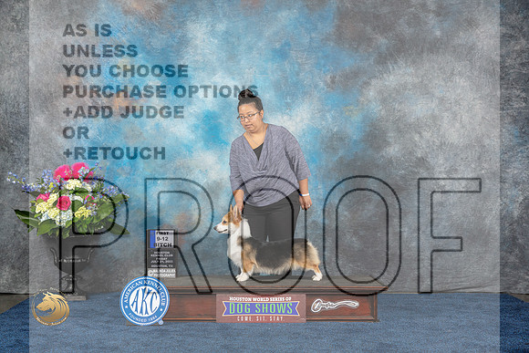 Pembroke Welsh Corgi #30 Thurs Fri 1st Judge Joan LiebesMJP_3530_HOUSTON_2023_HR3