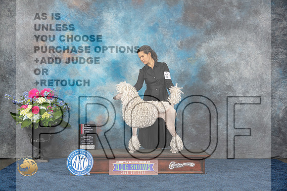 Poodle Standard #28 Fri BO NGC Judge Charles OlvisMJP_4223_HOUSTON_2023_HR3