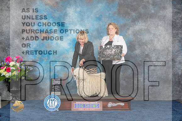 Puli #5 Fri OHBIS Judge Elizabeth MuthardMJP_4791_HOUSTON_2023_HR3