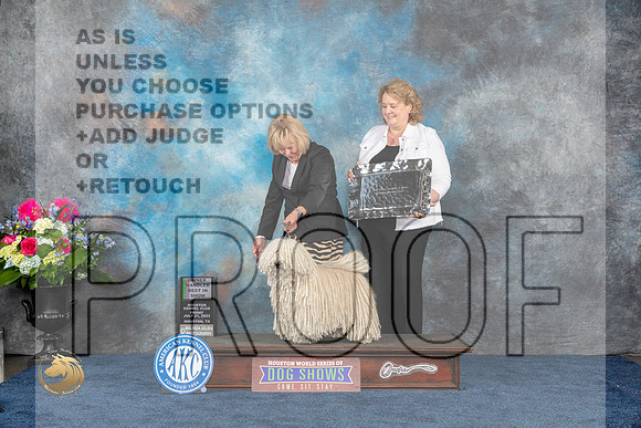 Puli #5 Fri OHBIS Judge Elizabeth MuthardMJP_4799_HOUSTON_2023_HR3