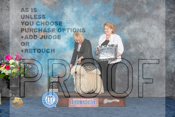 Puli #5 Fri OHBIS Judge Elizabeth MuthardMJP_4800_HOUSTON_2023_HR3