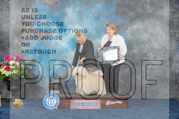 Puli #5 Fri OHBIS Judge Elizabeth MuthardMJP_4801_HOUSTON_2023_HR3