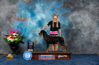 Rottweiler #18 Fri WB Judge Donnelle Richards