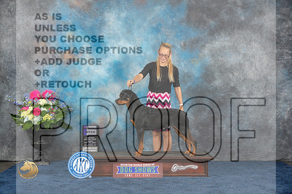 Rottweiler #18 Fri WB Judge Donnelle RichardsMJP_4097_HOUSTON_2023_HR3
