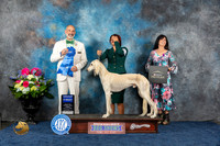 Saluki #5 Fri G1 Judge Ken Levison