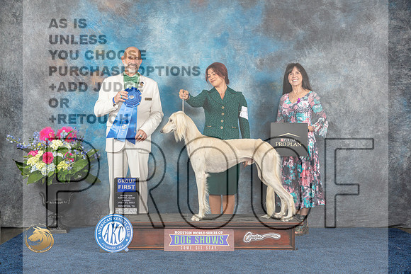 Saluki #5 Fri G1 Judge Ken LevisonMJP_4451_HOUSTON_2023_HR3