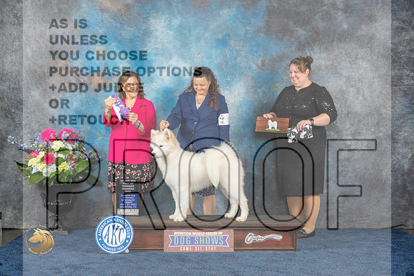Samoyed #31 Fri BOWWBBP Judge Joan LiebesMJP_4409_HOUSTON_2023_HR3