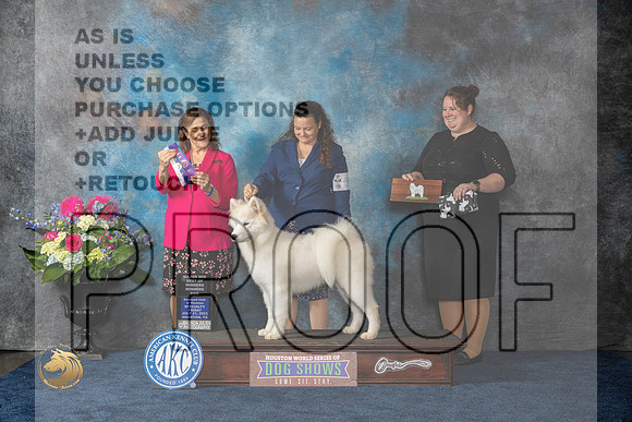 Samoyed #31 Fri BOWWBBP Judge Joan LiebesMJP_4407_HOUSTON_2023_HR3