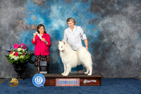 Samoyed #9 Fri SDGRCH Judge Joan Liebes
