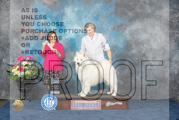 Samoyed #9 Fri SDGRCH Judge Joan LiebesMJP_4404_HOUSTON_2023_HR3